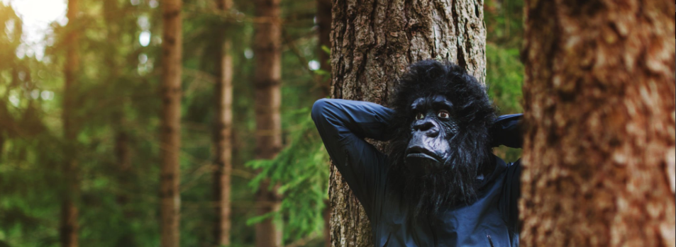 What to wear gorilla trekking?