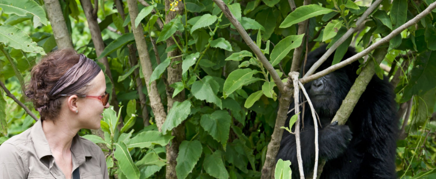 How to Prepare for Gorilla Trekking: A Complete Guide to an Unforgettable Adventure