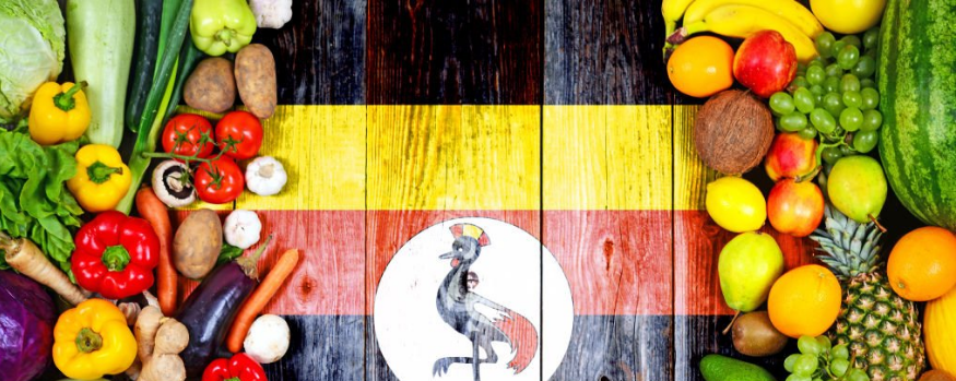 Is Uganda Vegetarian-Friendly?