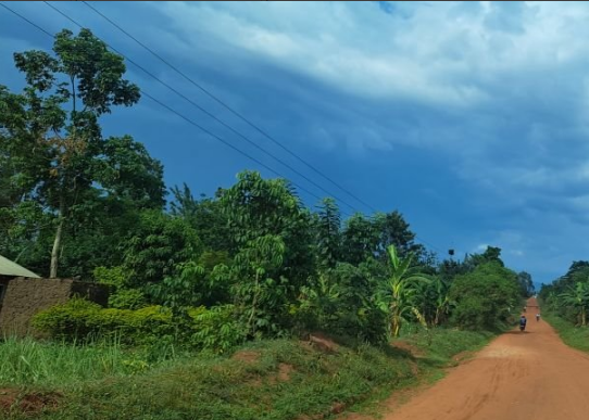 Can I Visit Uganda in December? A Journey of Inspiration and Adventure