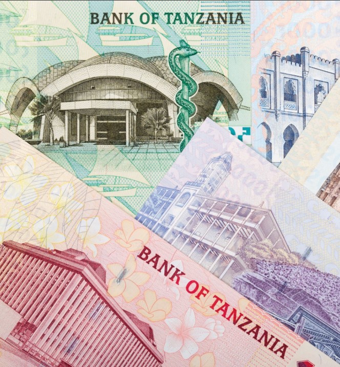 Tanzanian shilling banknotes and coins