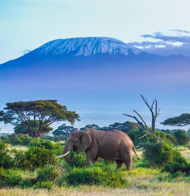 Packing essentials for Kilimanjaro trek