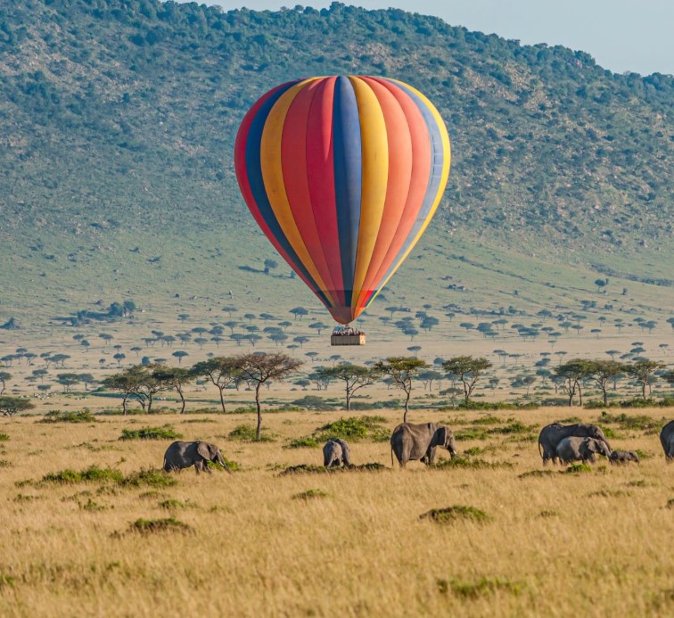 Hot air balloon soaring over scenic safari landscape.