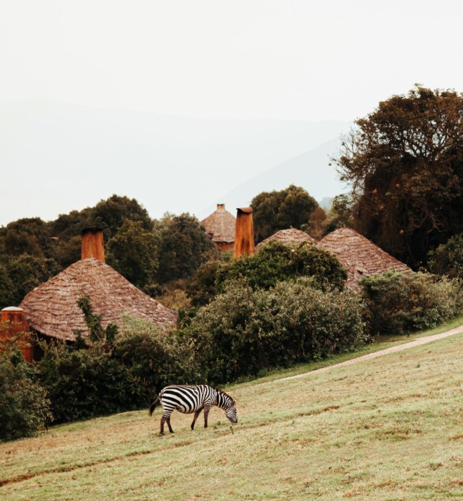 Luxury lodge overlooking Ngorongoro Crater with panoramic sunrise views and wildlife in the distance.