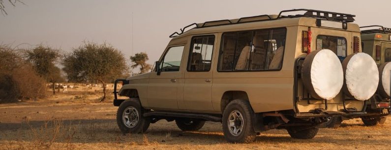 Safari vehicle on a night game drive in Tanzania under starlit sky