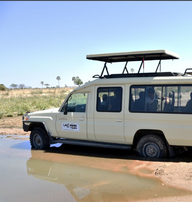 A safari vehicle with birdwatchers observing birds in Ruaha National Park.