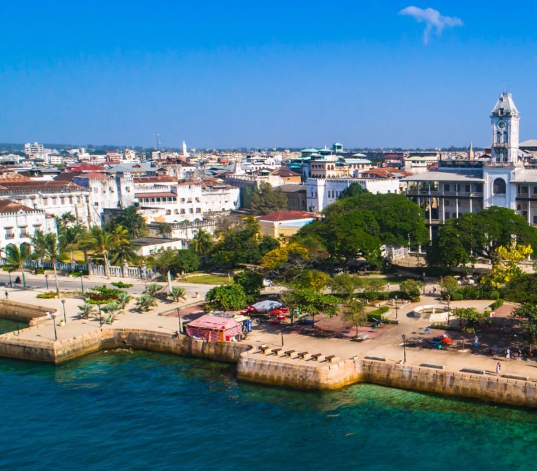 Aerial view of Stone Town rooftops with the Indian Ocean in the background