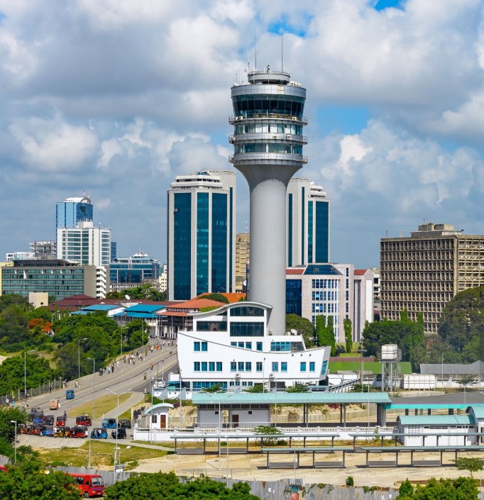 Scenic view of Tanzania's diverse landscapes, including wildlife, mountains, and beaches, showcasing the country's natural beauty.