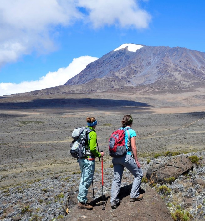 Climbers ascending Mount Kilimanjaro under mixed weather conditions across different climate zones.