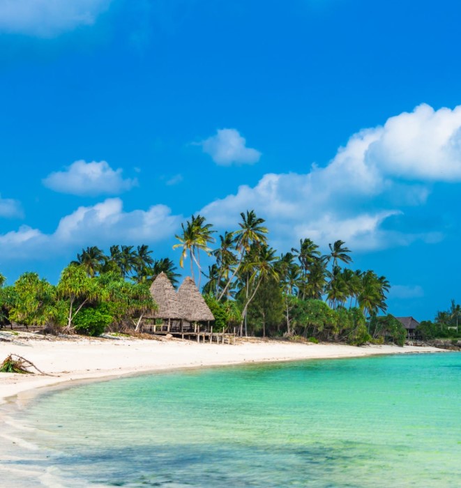 A panoramic view of tropical Mafia Island and Zanzibar beaches with turquoise waters and swaying palm trees under blue skies.
