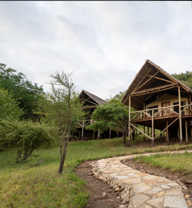 Luxury and budget accommodation options in Tarangire National Park, offering unique safari experiences and stunning views.