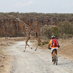 bike in Nairobi National Park