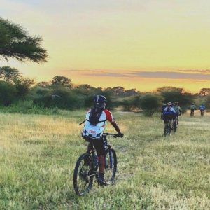 Bicycle Tours 