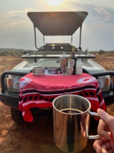 drink alcohol on safari