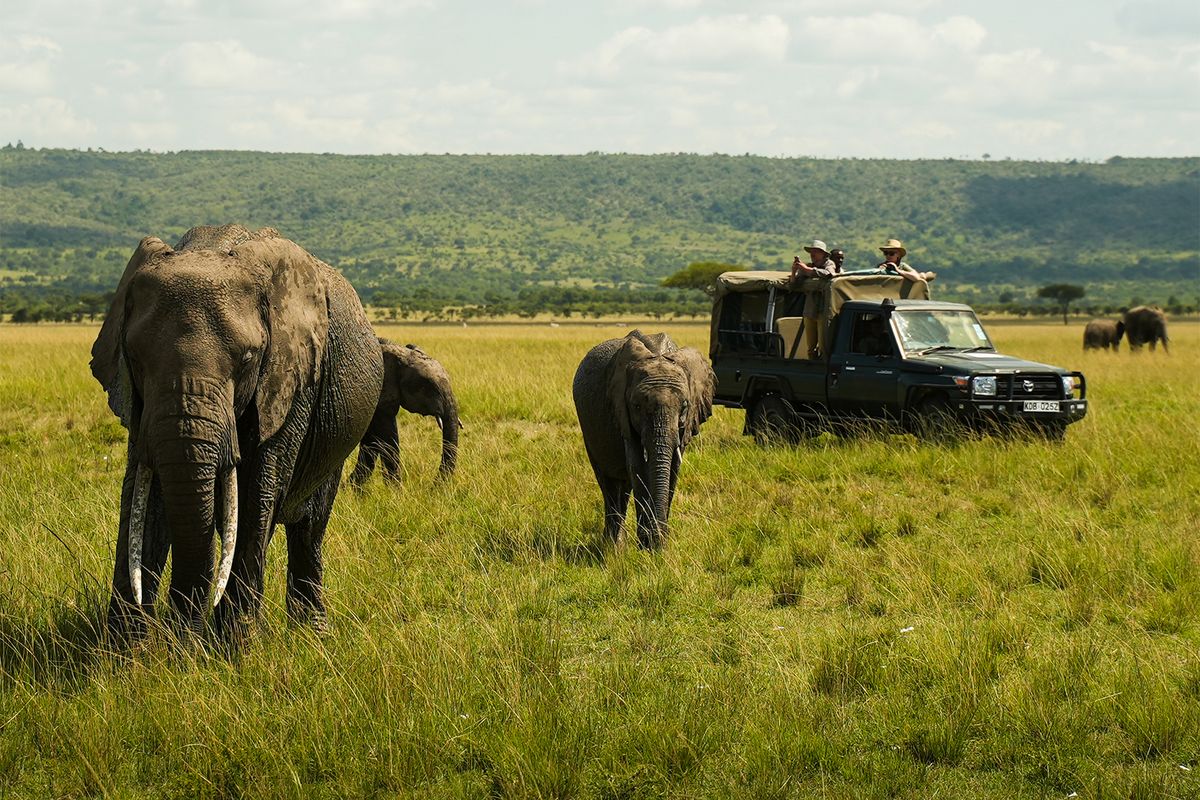 Kenya safari cost for a game drive