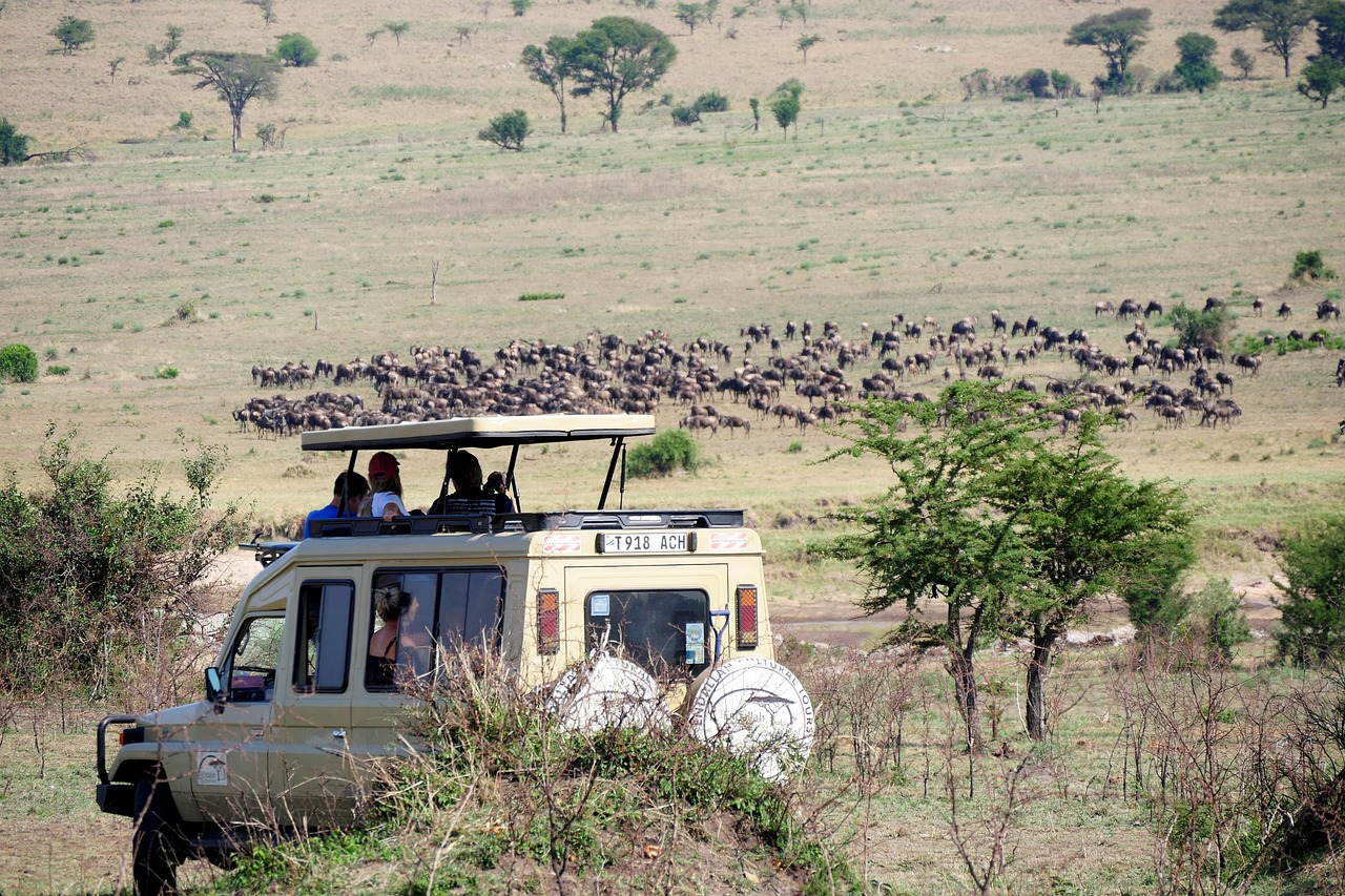 A pop-up roof safari vehicle with tourists photographing lions on the African savannah.