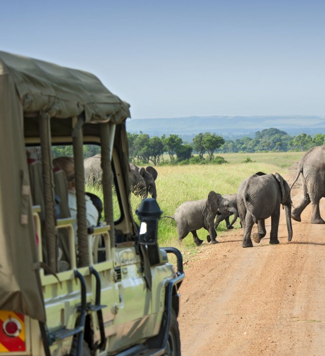 Travelers enjoying a guided group tour in Tanzania's Serengeti National Park with wildlife and safari vehicles in the background.