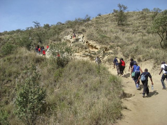 guided hikes