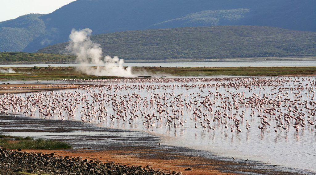 Lake Bogoria National Reserve – Hot Springs in Kenya