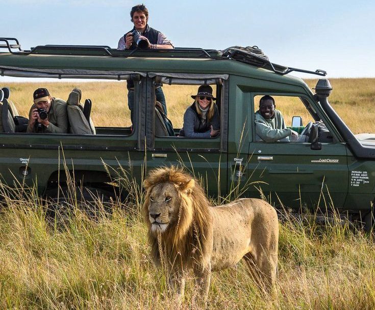national parks in Kenya. Best place to see lions in Kenya