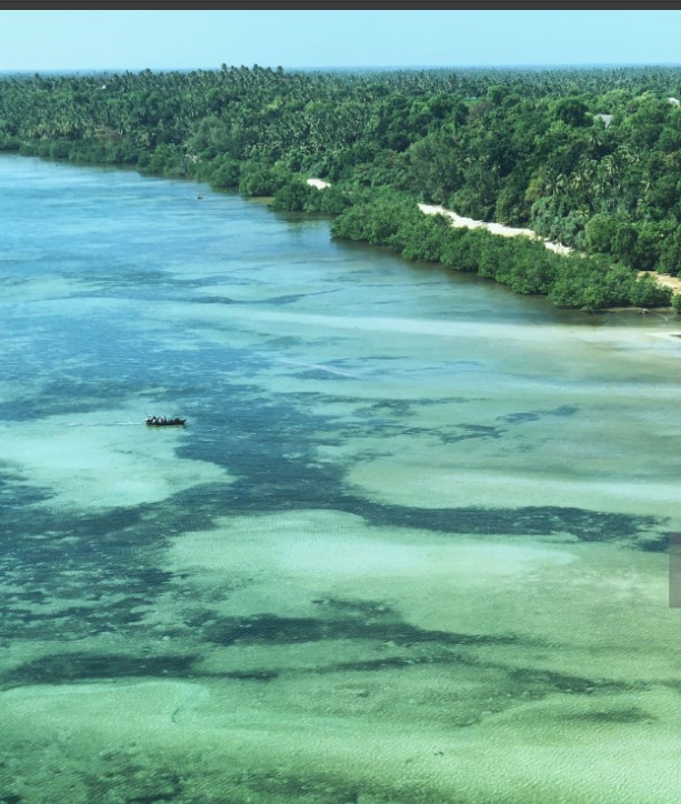 Mafia Island beach with clear turquoise waters and serene surroundings.
