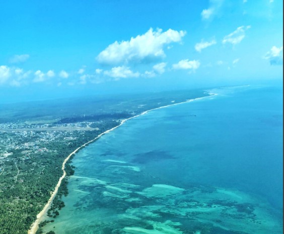 A peaceful beach on Mafia Island under a clear tropical sky with swaying palm trees and gentle waves
