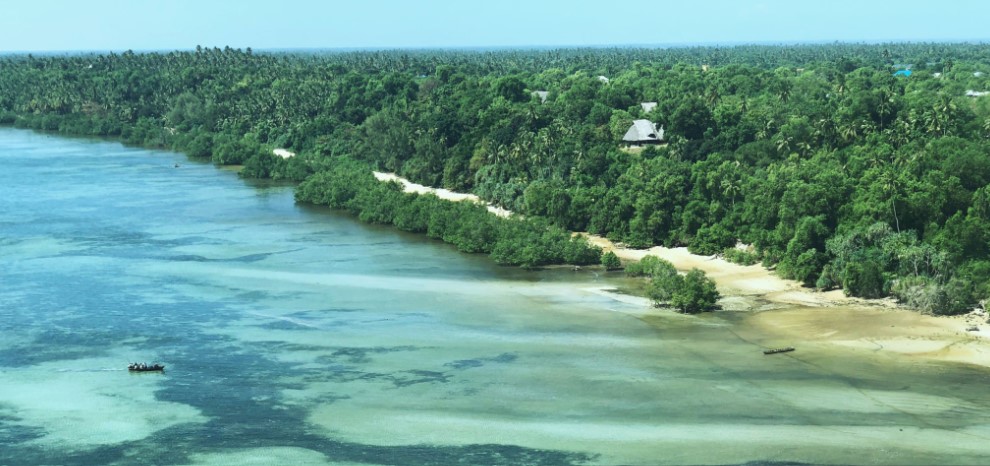 Colorful coral reef and tropical fish in Chole Bay, Mafia Island