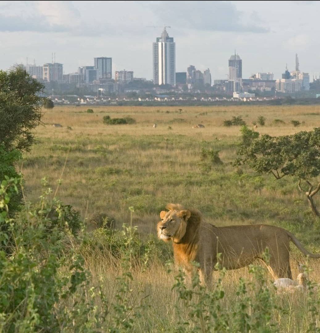 Safari parks in Kenya near Nairobi