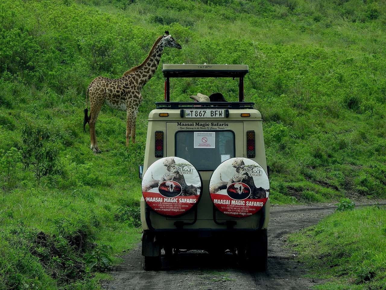 Safari adventure in the Serengeti with wildlife and stunning landscapes.