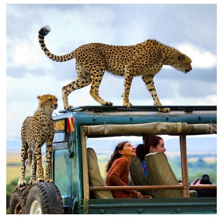 national parks in Kenya