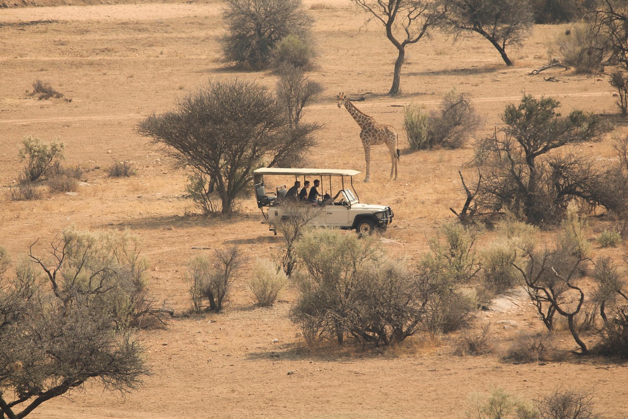 A group of travelers enjoying a safari in Africa, observing wildlife in their natural habitat.