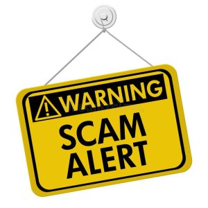 avoid safari scams