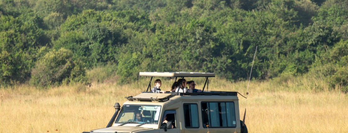 A 4x4 safari vehicle driving along a dusty trail in Serengeti National Park with zebras grazing nearby under a golden African sunrise.