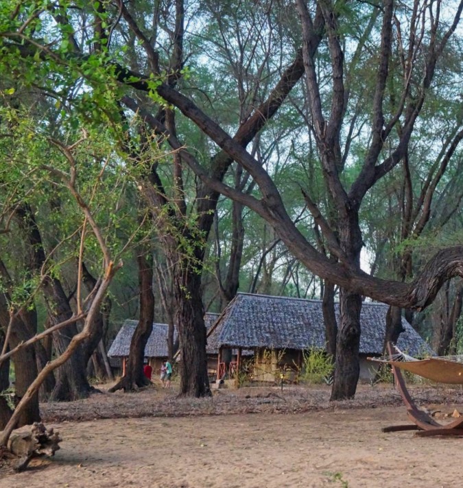 Luxury camp in Selous Game Reserve