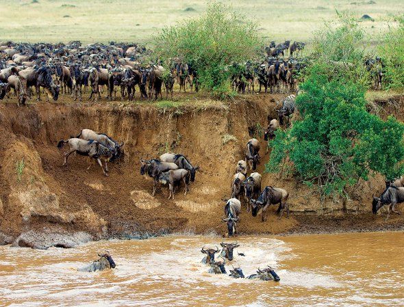 visit Maasai Mara