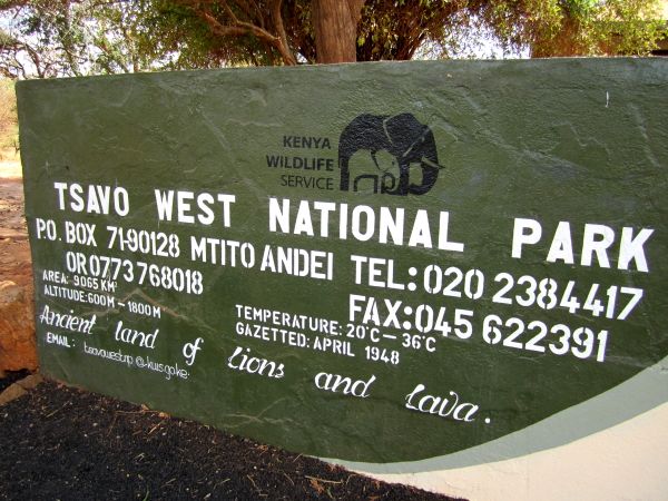 Amboseli vs. Tsavo