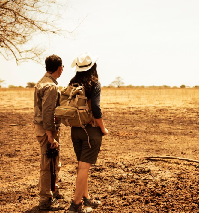 Group of travelers on a walking safari in Ruaha National Park, guided by an expert ranger.