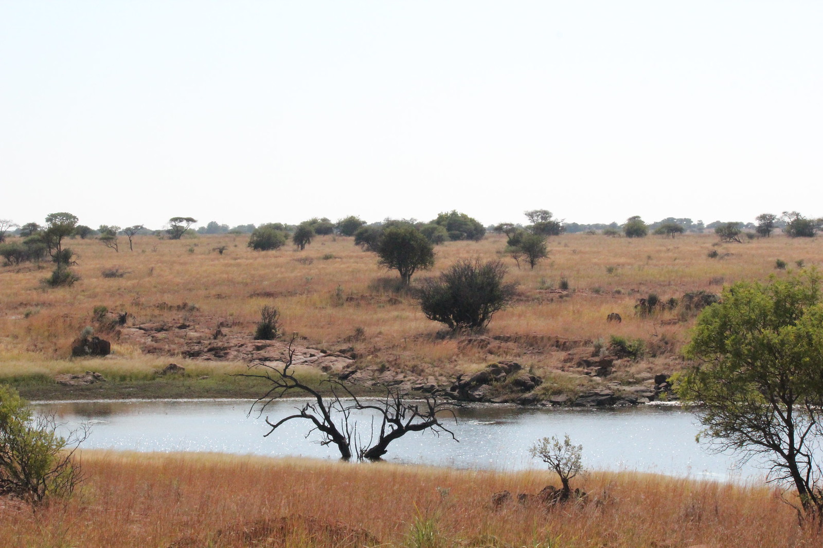 16035692671_d430597691_h