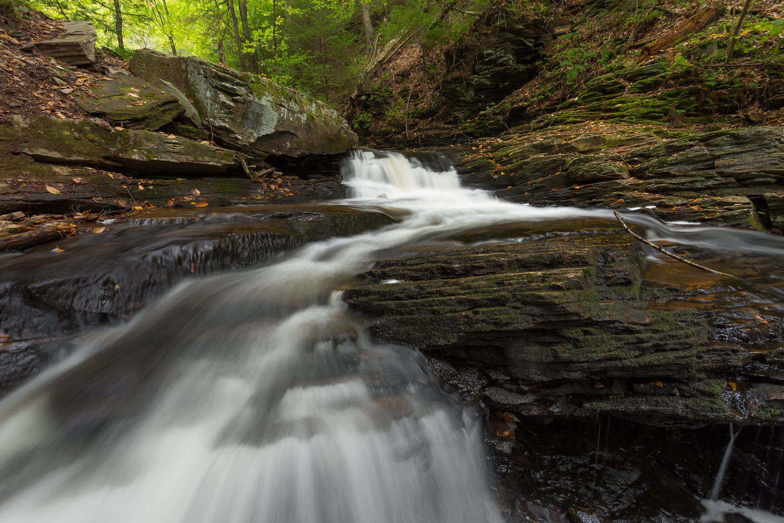 27524547676_2332079933_h