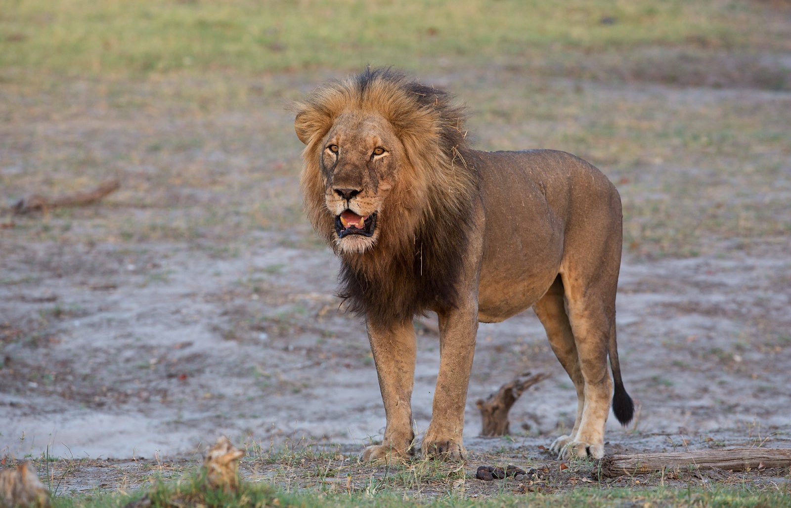 30967238323_561f34fdbf_k