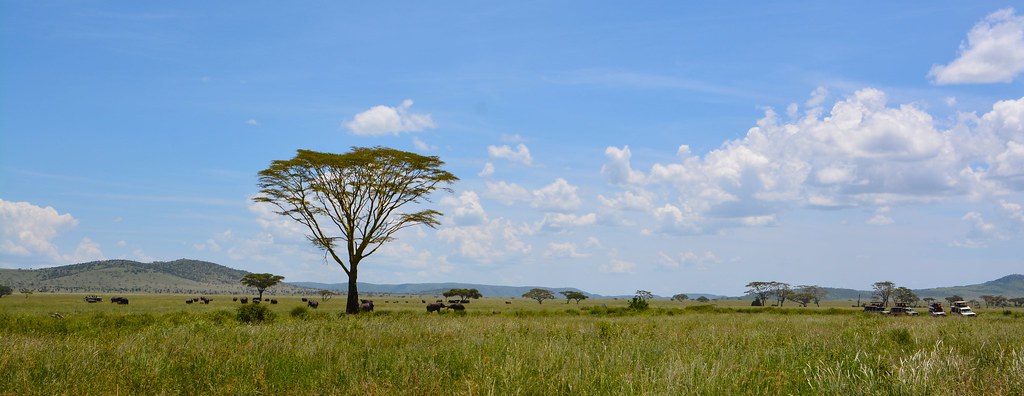 33523160210_e0776591ee_b