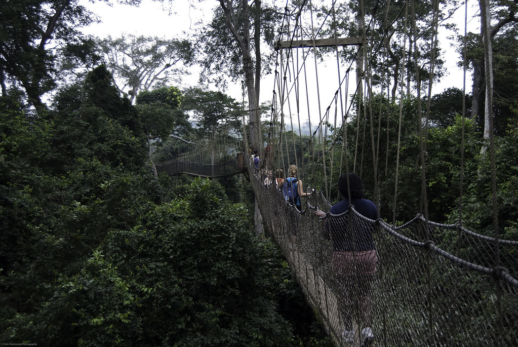 3920682056_5a998c256f_b