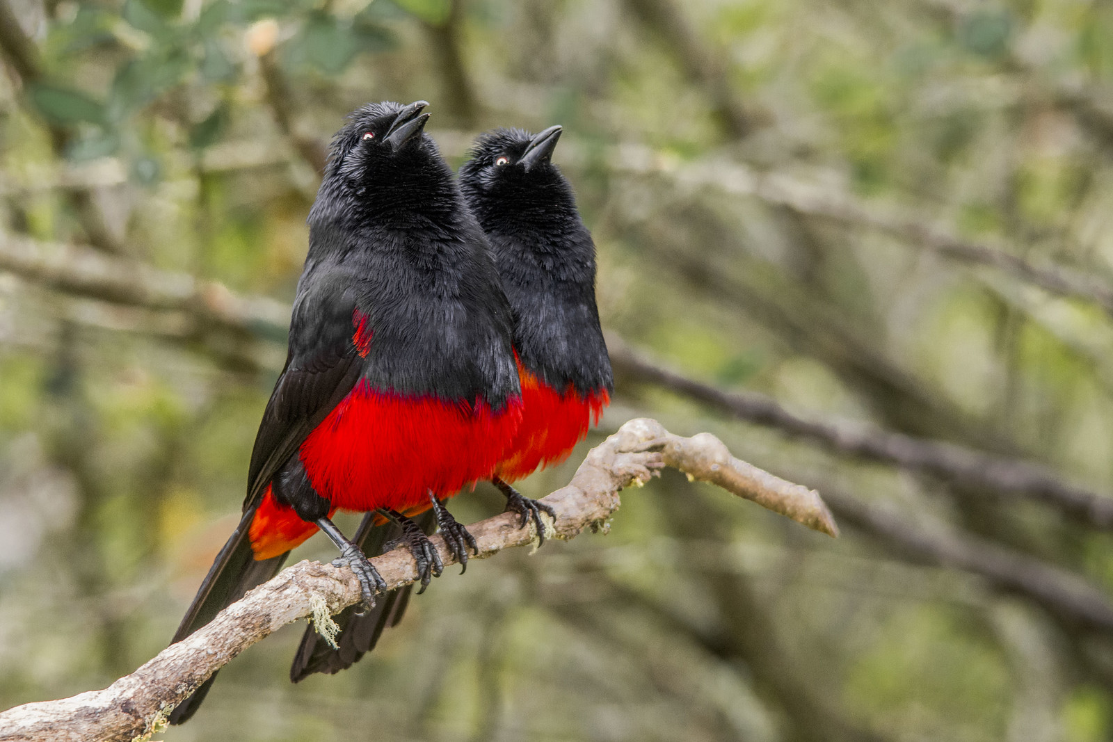 How to Plan a Valentine Trip Your Partner Will Love