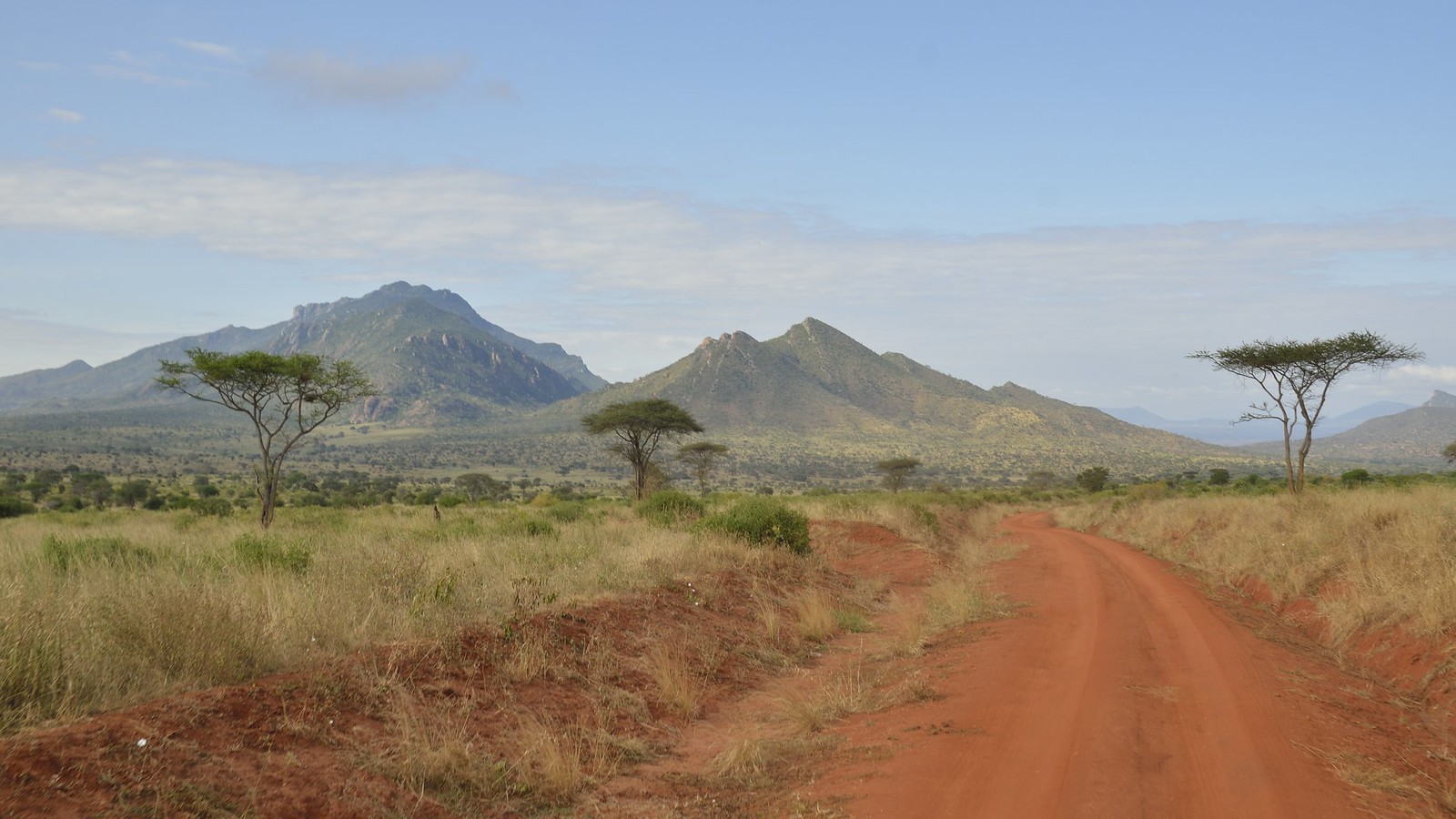 44106875051_8779cc3f69_h