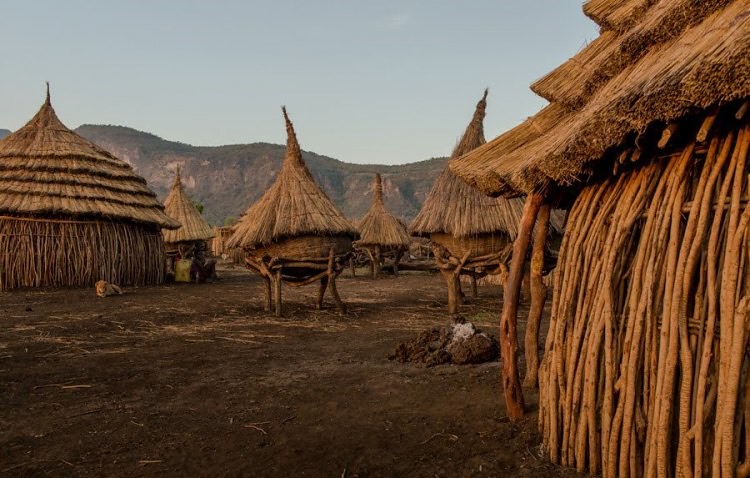 51185361009_627d8695c9_c