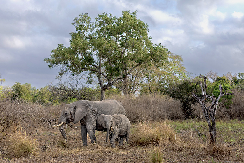 54983291150_eb7d762228_b