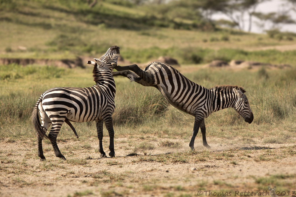 8489017856_d95bca4efa_b