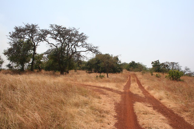 Akagera National Park2