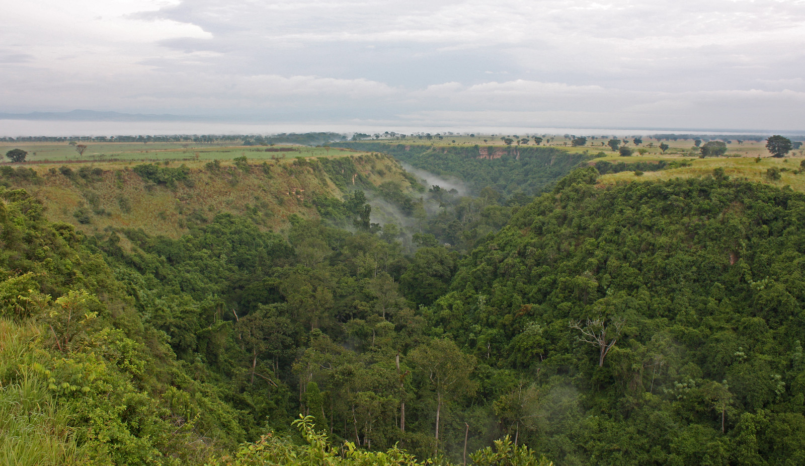 Lesser-Known Trails for Chimpanzee Tracking Beyond Nyungwe