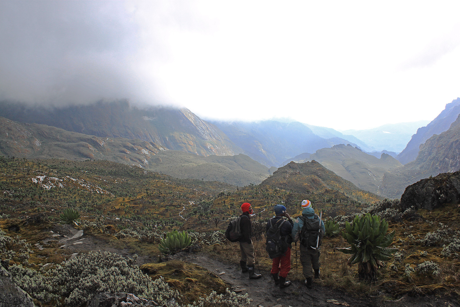 Mountain Climbing & Hiking Safaris in Africa